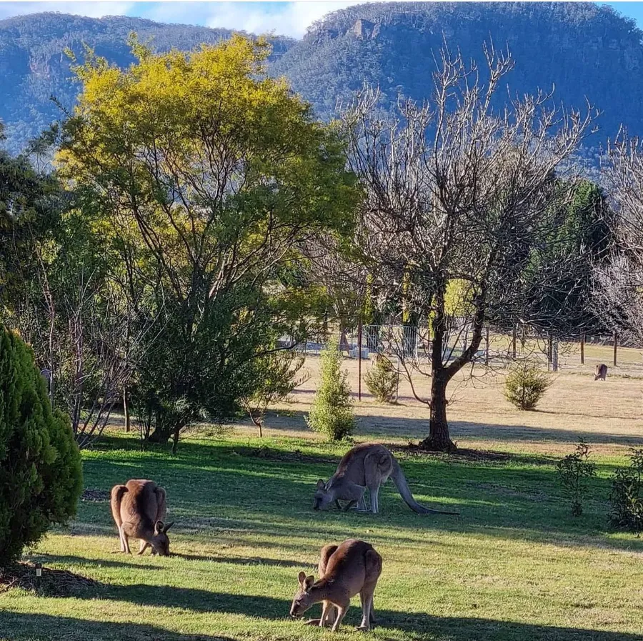 Unleash your animal instincts