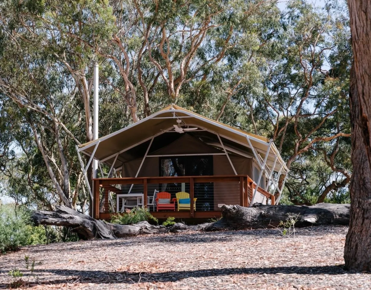 Visit Port Stephens Koala Sanctuary