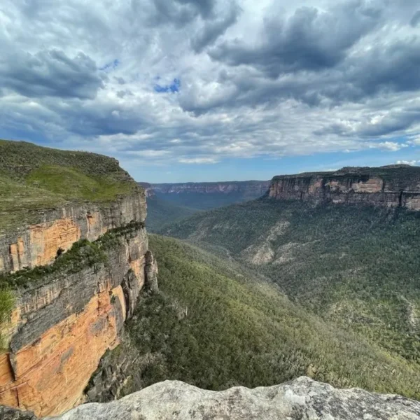 Blue Mountains Tours