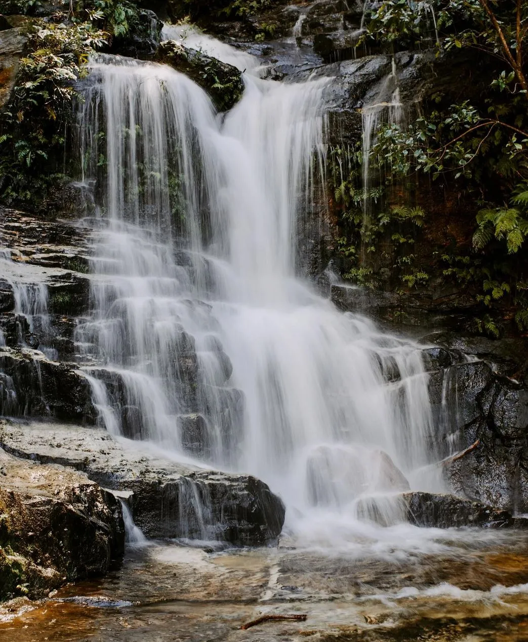 Wentworth Falls