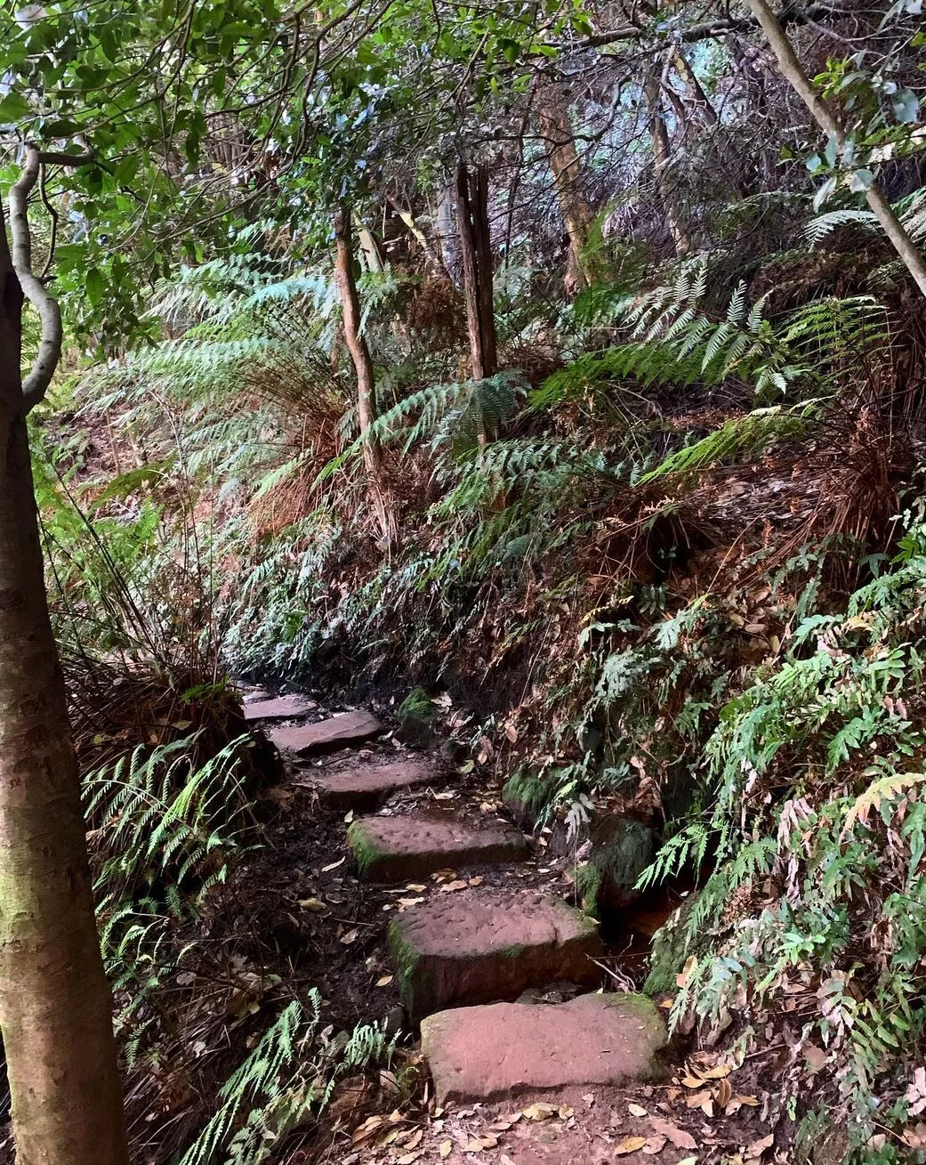 Wentworth Pass loop