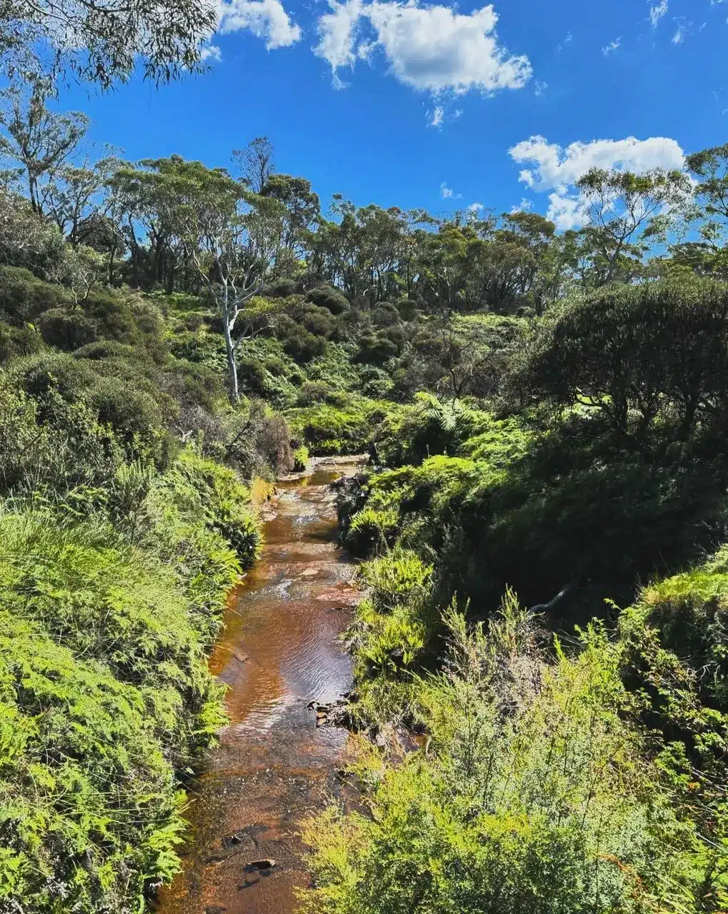 What You'll Spot Along This Track