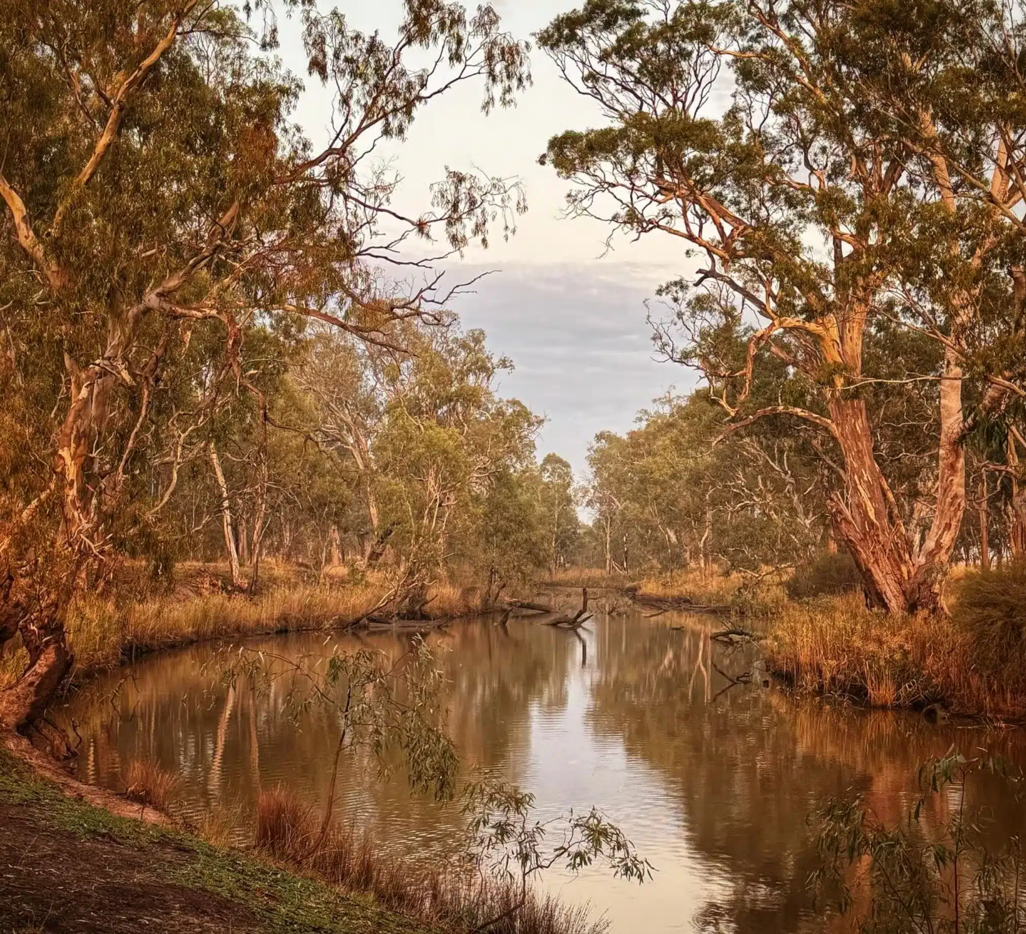 Wimmera River in the Grampians