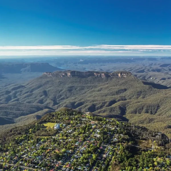 the best blue mountain tours