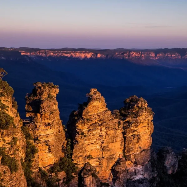 blue mountains day tours