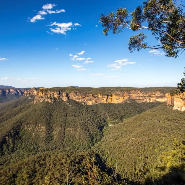 blue mountains excursions