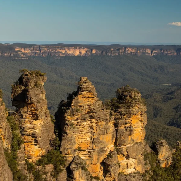 blue mountains tour