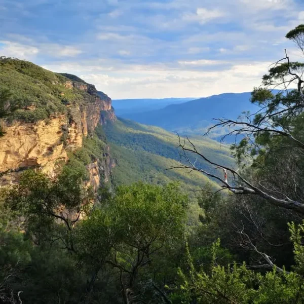blue mountains trips