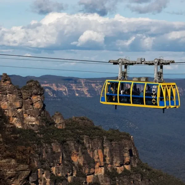 cheap blue mountain tours