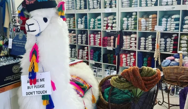 Australian Alpaca Barn