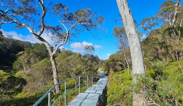 Charles Darwin Walk