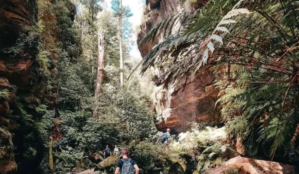 Grand Canyon Track