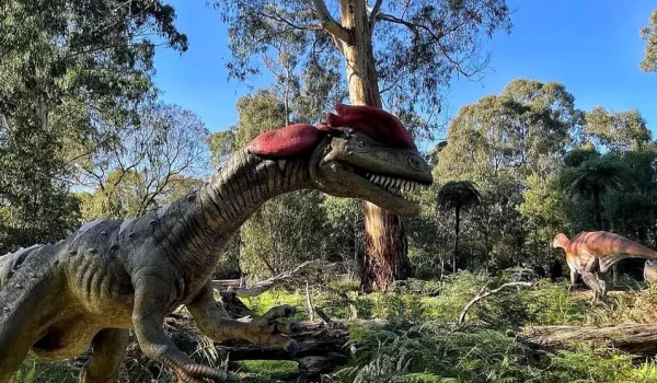 Is The Healesville Sanctuary Dino Trail Worth It For Toddlers