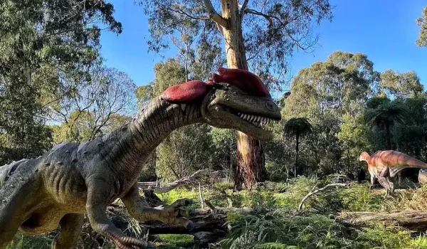 Is The Healesville Sanctuary Dino Trail Worth It For Toddlers