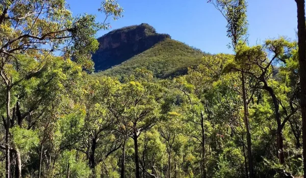 Jamison Valley
