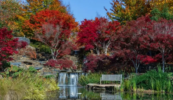 Mayfield Garden