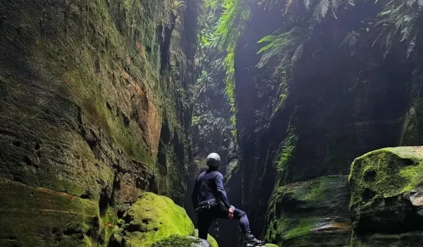 Scale Canyons