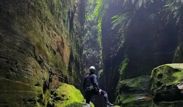 Scale Canyons