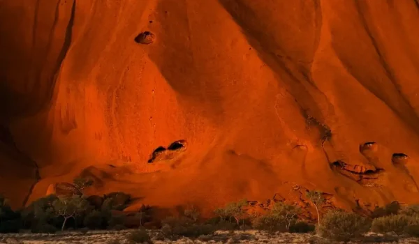 The Science and Timing Behind the Desert’s Rarest Colour Change