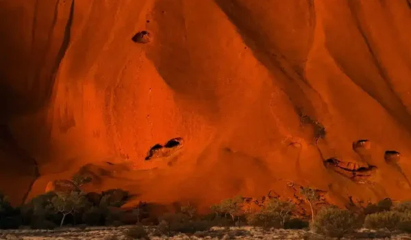 The Science and Timing Behind the Desert’s Rarest Colour Change