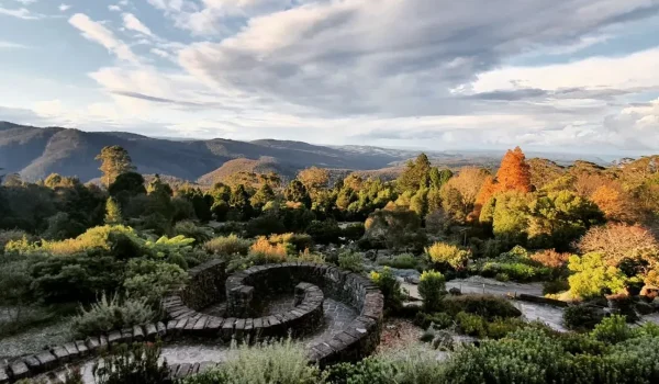 Winter in the Blue Mountains