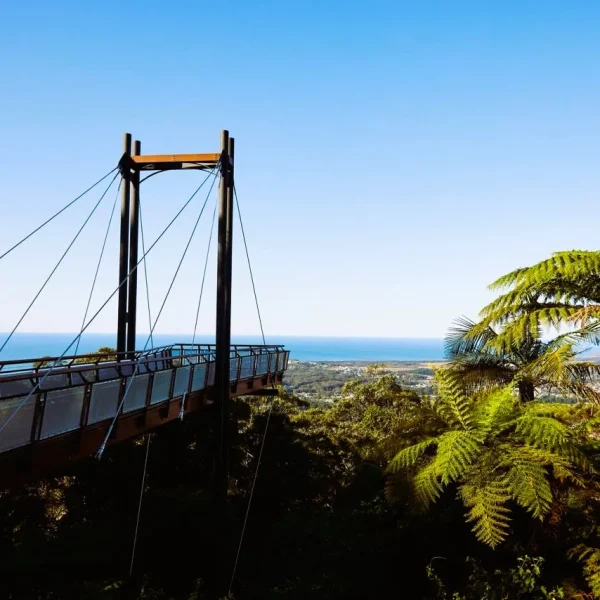 a tralian east coast tours