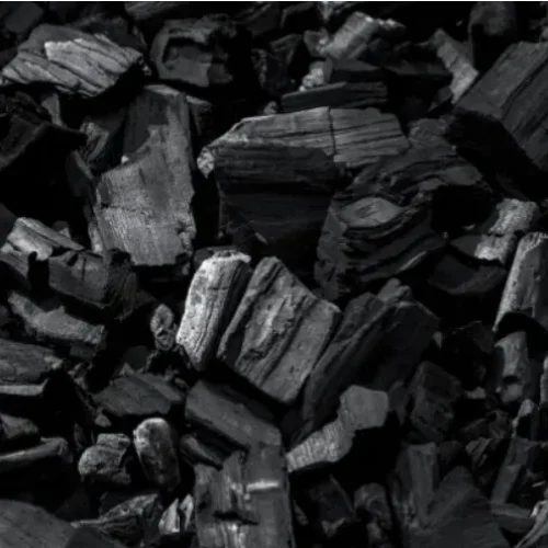 discovery of coal