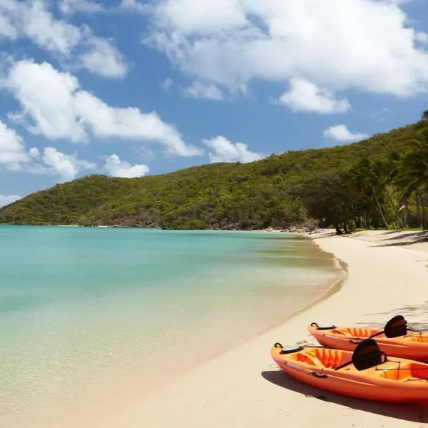 east coast tours for seniors