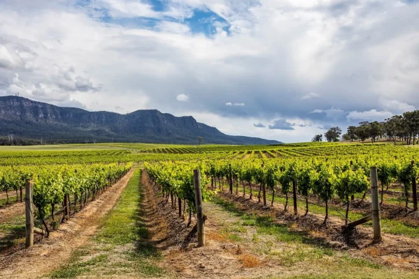 hunter valley tours