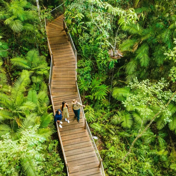road trip plan sydney to cairns