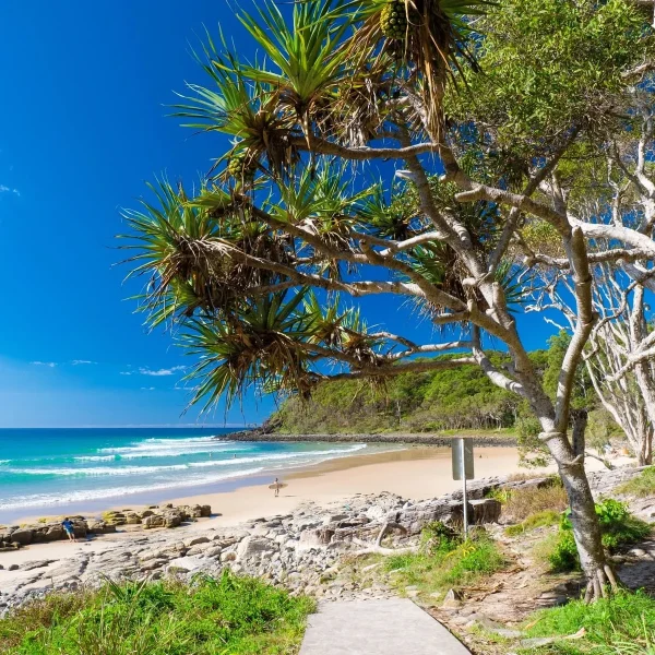 sydney to brisbane bus touring