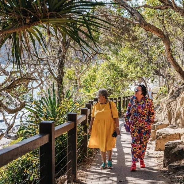 sydney to brisbane bus tours
