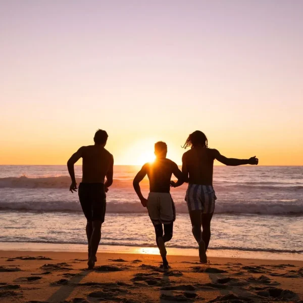 sydney to brisbane tour package australia
