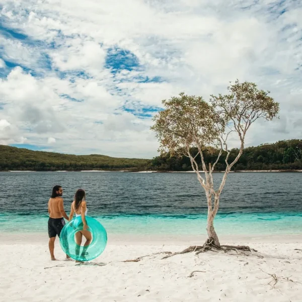 sydney to brisbane trips australia