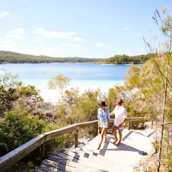 sydney to brisbane trips