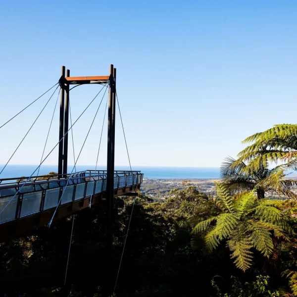 sydney to cairns road trip 1 week itinerary