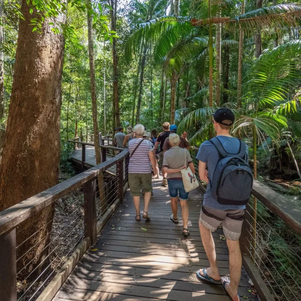 sydney to cairns road trip 3 weeks