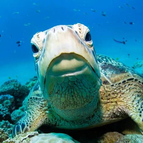 sydney to cairns road trip itinerary
