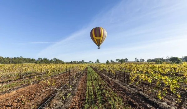 things to do in hunter valley