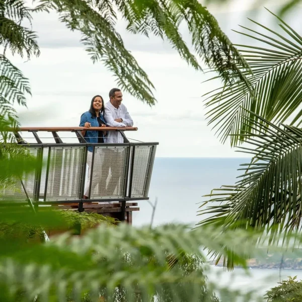 trips australia from sydney to brisbane