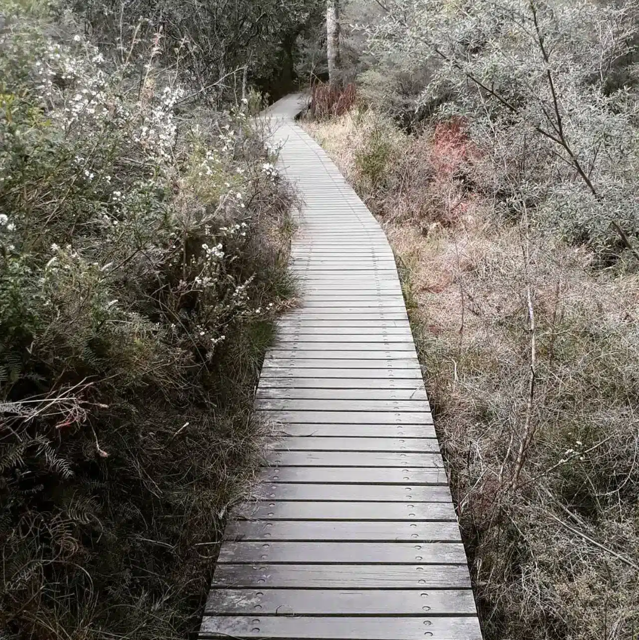 first boardwalk