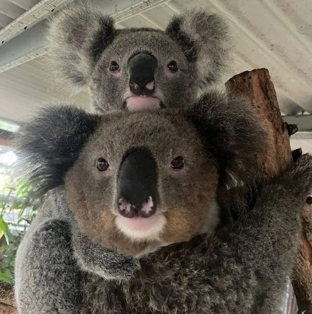 hunter valley things to do