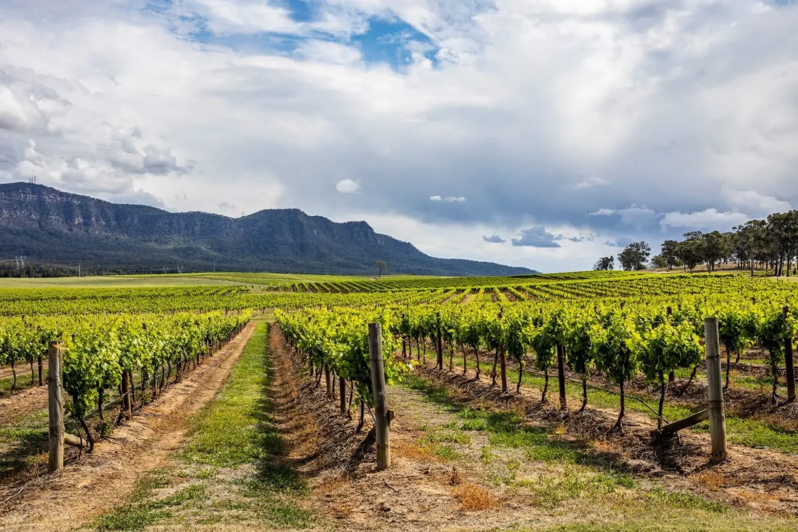 hunter valley tours
