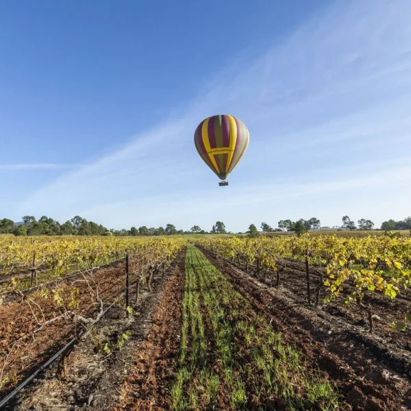 hunter wine tour