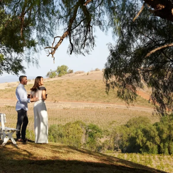 hunters valley wine tour