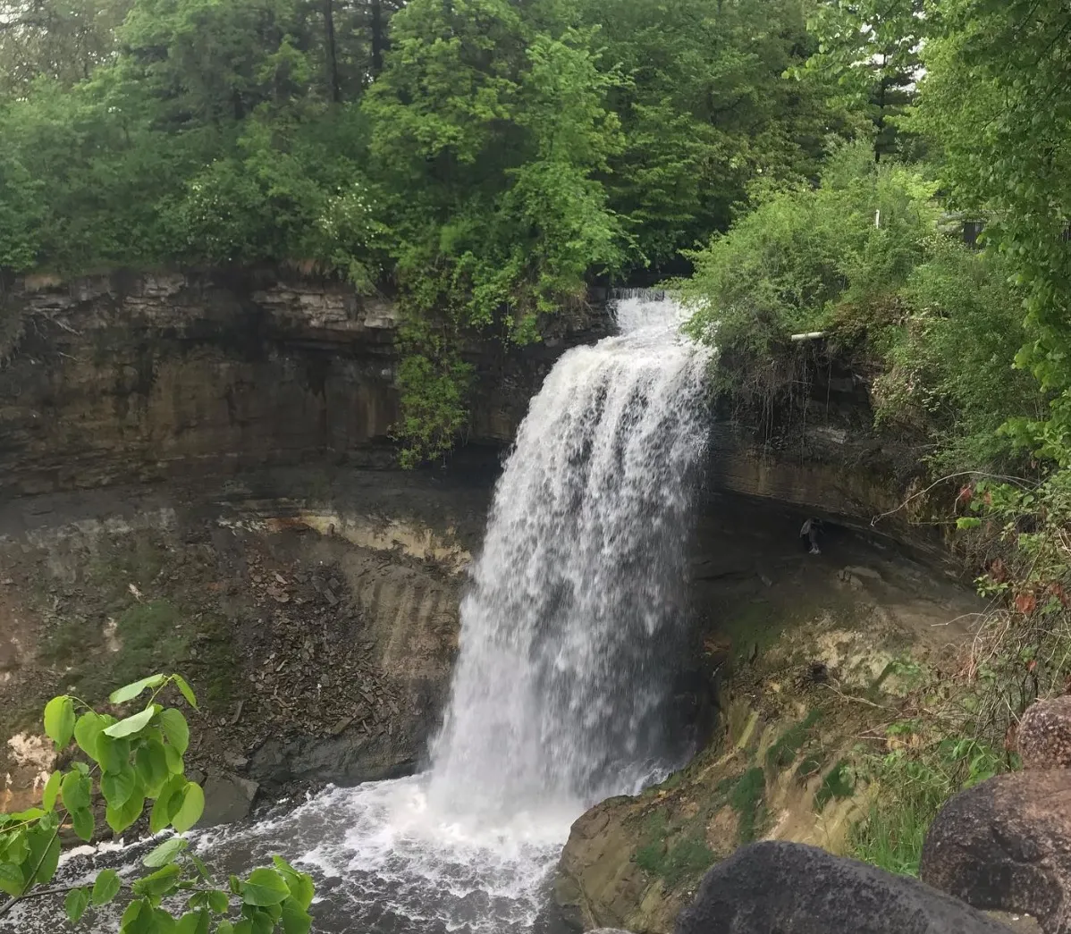 things to do in blue mountains today