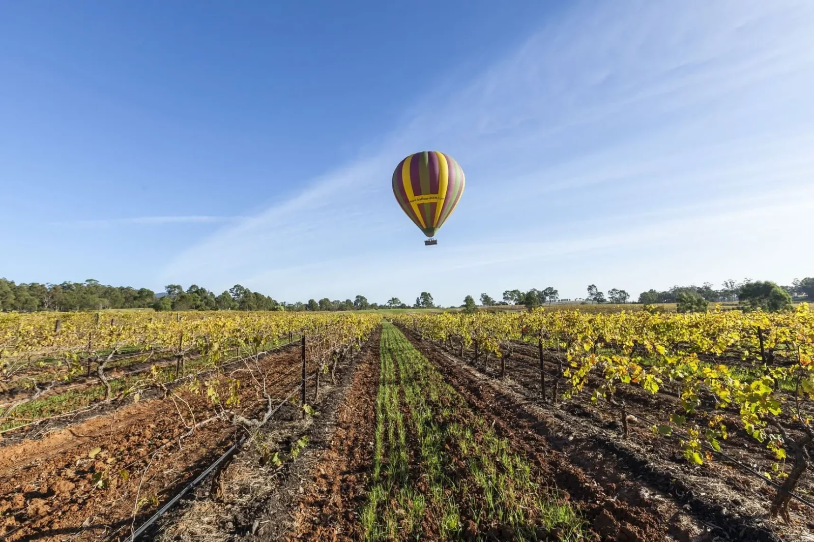 things to do in hunter valley