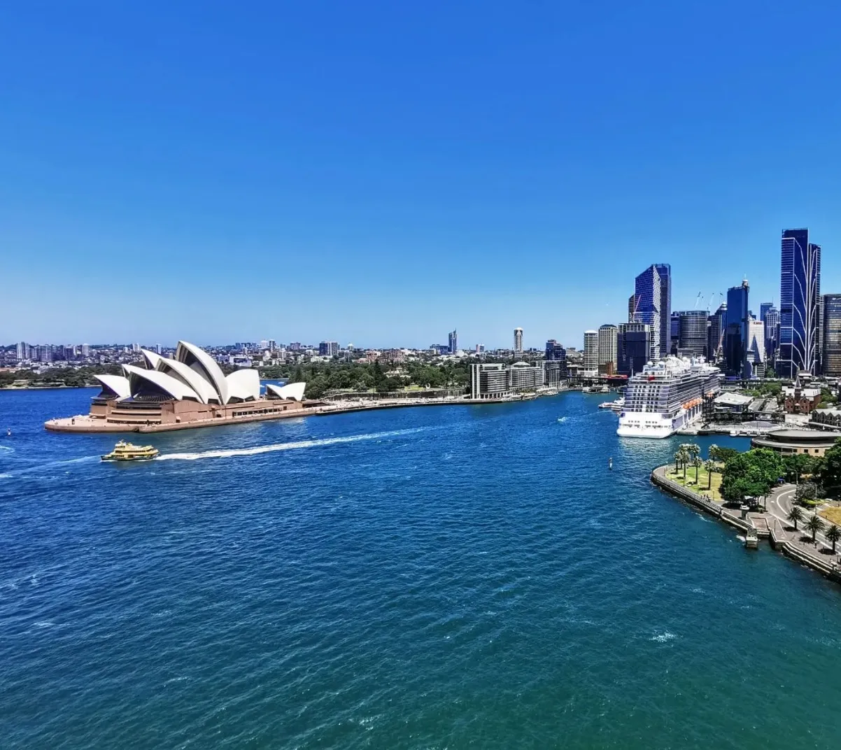 things to do in sydney