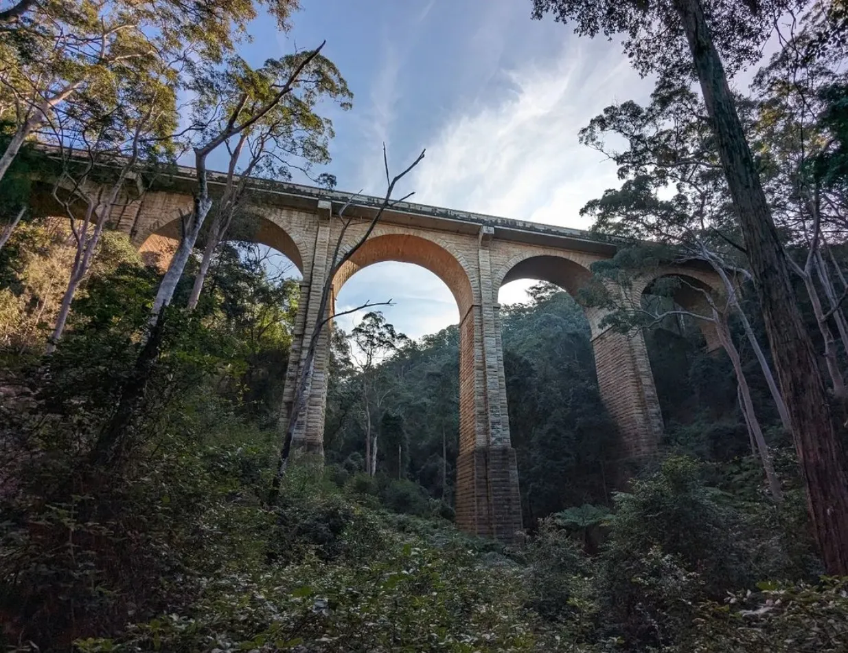 things to do in the blue mountains