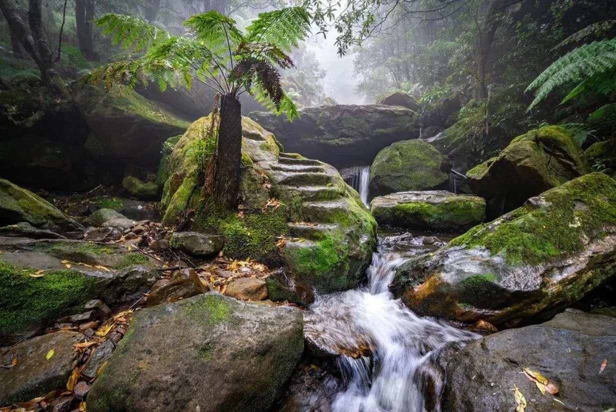 things to see in blue mountains